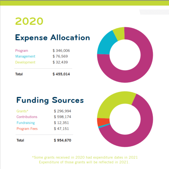 2020 annual report page 5